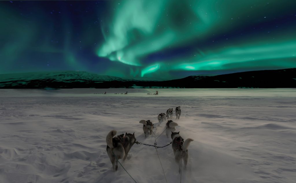 Norway Northern Lights Husky Sledding 1 1024x636