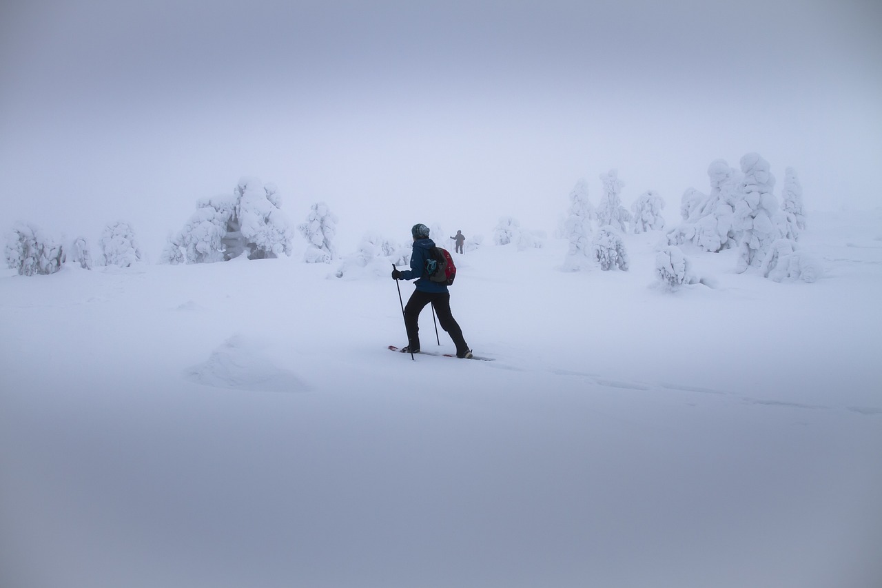 Person snowshoeing through a serene winter landscape, surrounded by snow-covered trees and pristine powder.