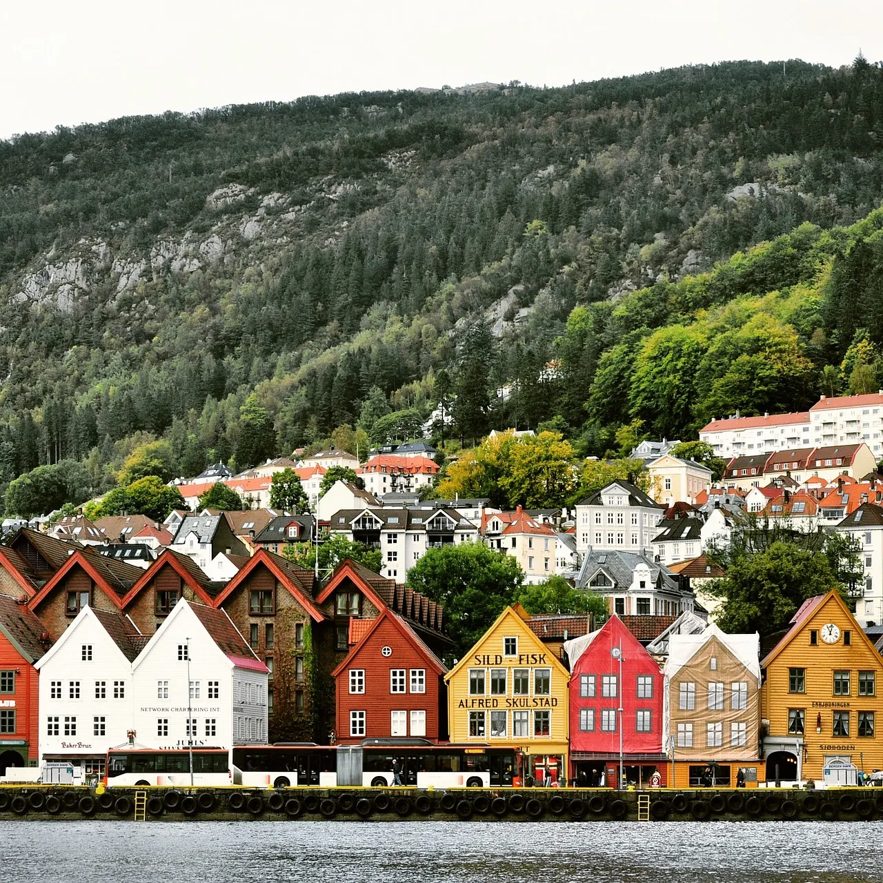 Colorful wooden houses with steeply pitched roofs are clustered together on the hillsides of Bergen, Norway, showcasing the city's traditional and charming architecture.