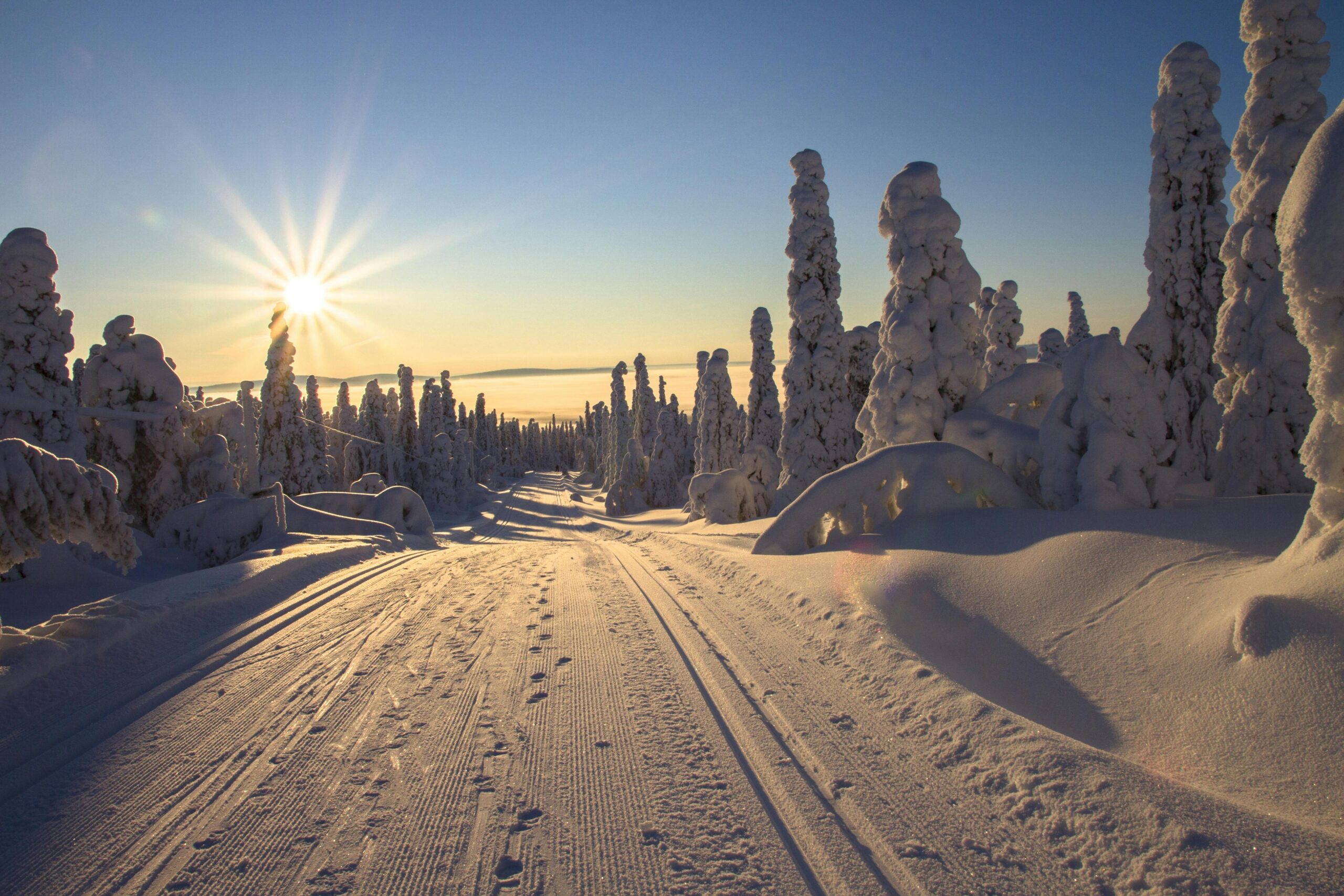 Winter wonderland scene: snow-covered road winds through forest of snow-laden trees, with warm sunlight peeking through.